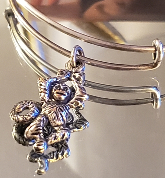 Fun monkey 🐒 Alex And ANI - Picture 5 of 11